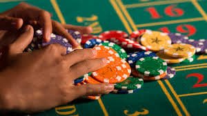 venus casino