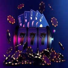venus casino